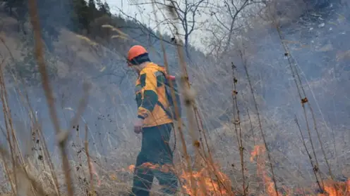 Более 170 лесных пожарных с севера перебрасывают для тушения возгораний в западных, восточных и центральных районах Красноярского края