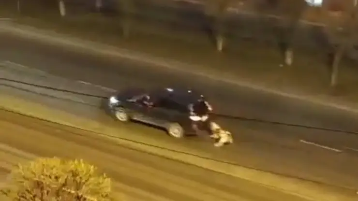 Красноярка привязала больную собаку к машине и поволокла ее по дороге. Видео